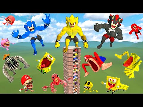 💥 TALLGRASS NEW SONIC KONG TAPES FAMILY / SPONGEBOB EATER ELONGATED ZOOCHOSIS SPARTAN KICKING GMOD !