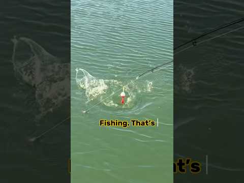 How To Catch Channel Catfish EVERY Day!! #shorts #fishing