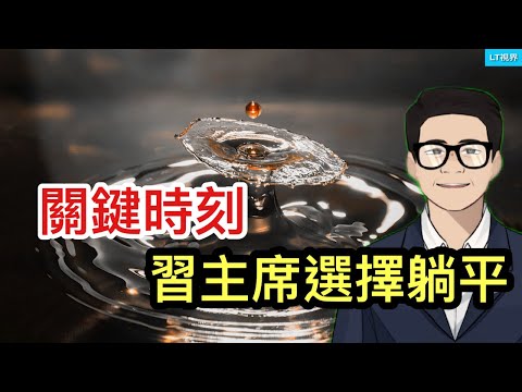 彭博社，關鍵時刻，習主席選擇躺平；中共為了幹壞事，未雨綢繆；中國國債市場奇特景象本質就是發生了金融危機。