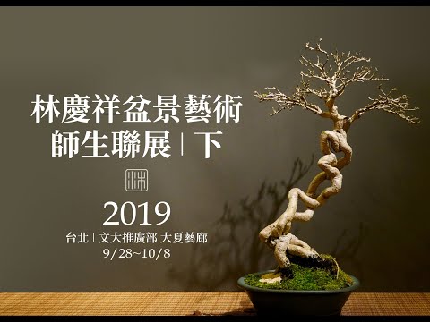 留白的哲思∣2019林慶祥盆景藝術師生聯展∣下篇∣請點選字幕 Bonsai Exhibition