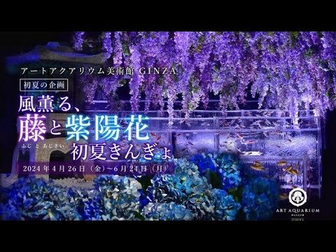 行く価値あり！「アートアクアリウム美術館GINZA」