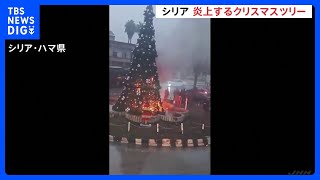 ガザやシリアでも…世界各地のクリスマス｜TBS NEWS DIG