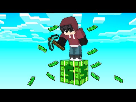 Minecraft But It's Only ONE MILLIONAIRE BLOCK