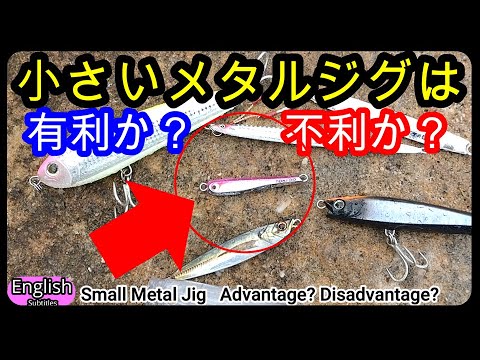 Small Metal Jig  advantage? Disadvantage?  BOZLES TG TOKICHIRO Underwater Footage