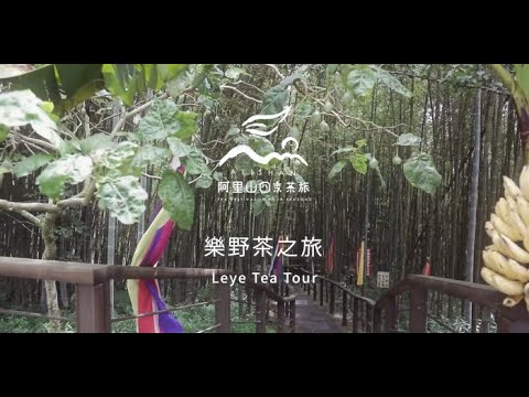 2021阿里山春季線上茶旅-樂野 茶之旅-Alishan Tea Festival In Four Seasons