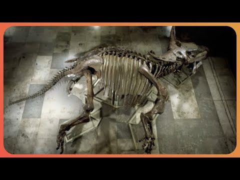 Exploring The Dinosaur Kingdom: 3 Hours of Amazing Discoveries