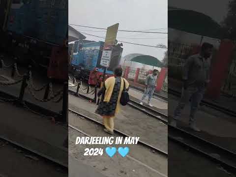 Darjeeling in May 2024| Darjeeling Trip| Darjeeling Weather #darjeeling #darjeelingdiaries