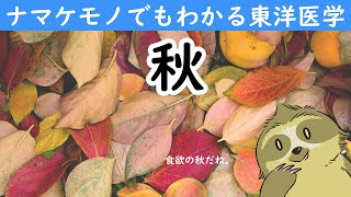 【はじめてでもわかる東洋医学】秋の養生