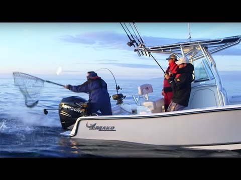 MAKO Boats: 214 CC Offshore Fishing Boat