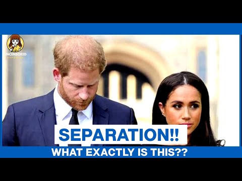 IS MEGHAN MARKLE AND PRINCE HARRY'S SEPARATION PERSONAL OR PROFESSIONAL?