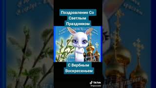 С Вербным воскресеньем поздравляю. В доме радости, тепла всегда желаю. Пусть пройдут все огорчения,