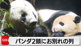 パンダが高血圧で帰国　上野動物園のリーリー・シンシン　9月末に中国へ