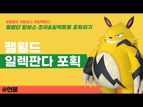 팰월드 튜토리얼 보스 조이 일렉판다 포획 방법 (2분 공략영상)