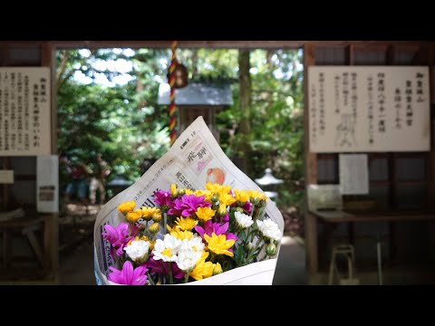 【富山】皇祖皇太神宮 スメラミコト お詣り 20240812 高山朝市の野菊「竹内文書」