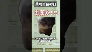 【猫ミーム】薬学部5年の薬局実習初日のリアル　#猫ミーム #猫マニ  #薬学生 #実習