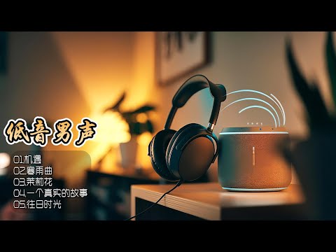 醇厚低音男声，重塑流行金曲魅力，让每一次聆听都成为耳朵的奢华盛宴！