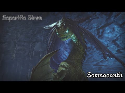 Somnacanth / イソネミクニ - Ecology Intro [ Monster Hunter Rise / モンスターハンターライズ ]