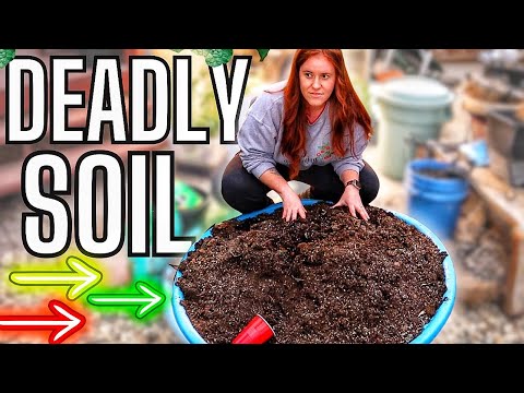 3 Garden Soil Amendments You Will Want To Skip!