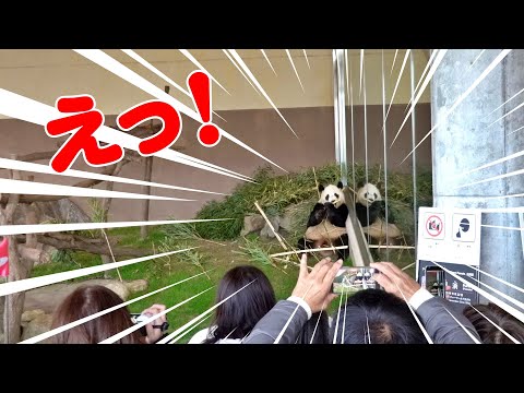 【まるで双子🐼】ふうひんが合わせ鏡で見せた"分身現象"が可愛すぎる😍✨