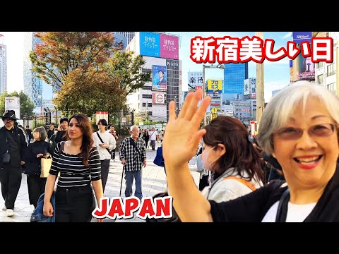 [4K] 新宿: 美しい街歩き|| Shinjuku City, Scenic Walking Tour || Japan 2024 ||