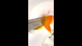 Poached Egg in a Cup