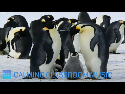 Relaxing Music For Elementary Classroom - Snow Animals - Calming classroom music for children