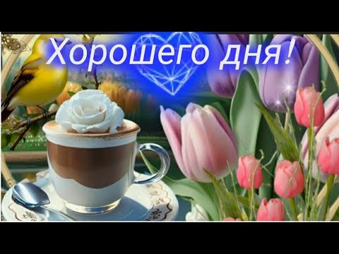 Я тебе желаю... ПОЖЕЛАНИЯ ОТ СЕРДЦА ДОРОГОМУ ЧЕЛОВЕКУ #доброеутро ☀️ ХОРОШЕГО ДНЯ! 🌈🕊💫🐞☕