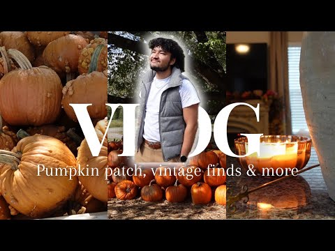 Pumpkin patch, vintage finds, finding new restaurants, new park, enter to the giveaway & more...