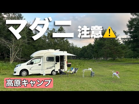 長野県 【野辺山】は涼しい！避暑キャンプに行きました