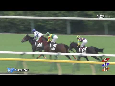 2022/10/09　ミッキーカプチーノ　新馬戦