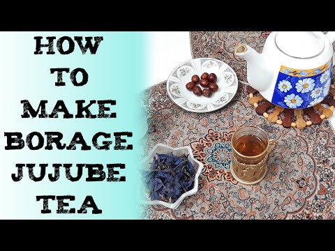 How to make borage Tea & Jujube 琉璃苣茶 बोरेज चाय огуречника чай с зизифус Té de borraja Borretsch Tee