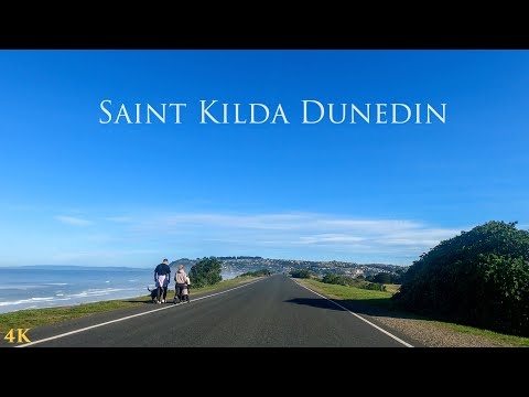 Driving From Dunedin City to Saint Kilda Beach | Dunedin New Zealand Driving Tour 4K | South Island