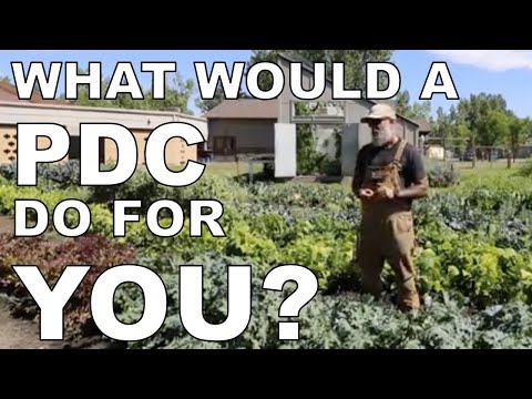 Who Should Take a Permaculture Design Course and What Do You Get Out of It?