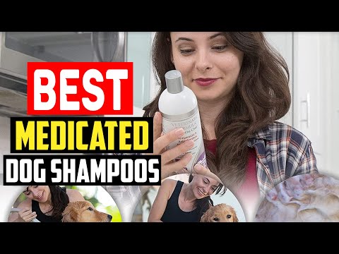 Top 5 Best Medicated Dog Shampoos in 2023