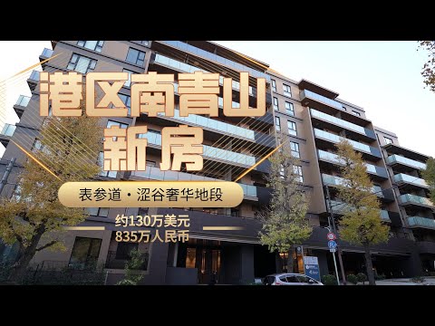 港区南青山奢华地段的高级新筑公寓 东京涩谷表参道（CC字幕）东京豪宅 约130万美元 835万人民币｜日本看房｜日本买房｜日本投资｜看房视频｜日本移民｜日本签证