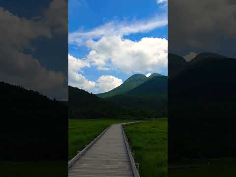 【癒し動画】大分県玖珠郡九重　遊歩道　#阿蘇くじゅう国立公園　#travel 　#高橋真梨子　#shorts