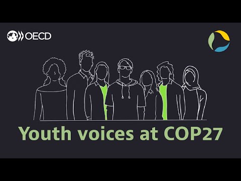 Involving Youth in Climate Action Decisions