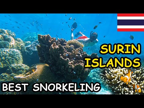 🇹🇭 Surin Islands THAILAND'S BEST SNORKELING