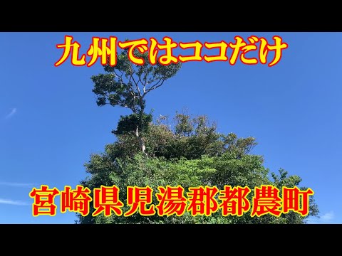 九州ではココだけ　宮崎県児湯郡都農町