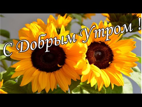 С ДОБРЫМ УТРОМ ! 🌼Желаю Самого Доброго Солнечного Утра!🌼  Шикарная Музыкальная открытка 🌼