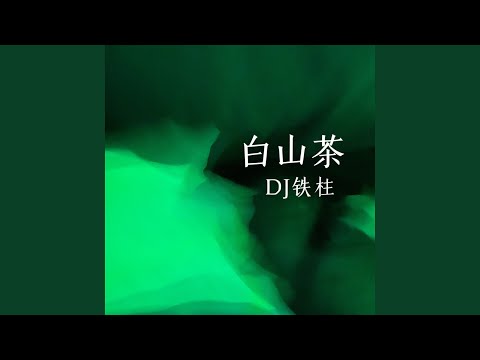 白山茶