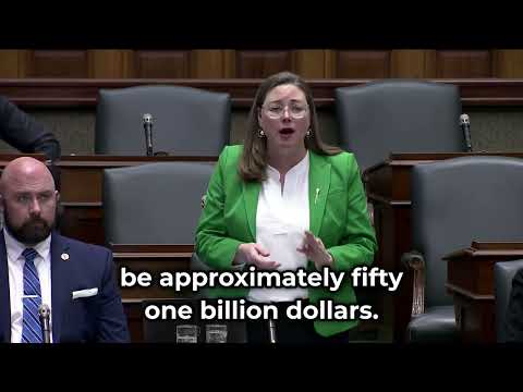 Opposition Motion Debate - Mental Health Funding