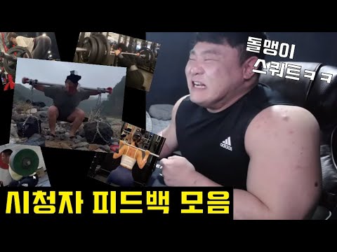 시청자 피드백 하이라이트