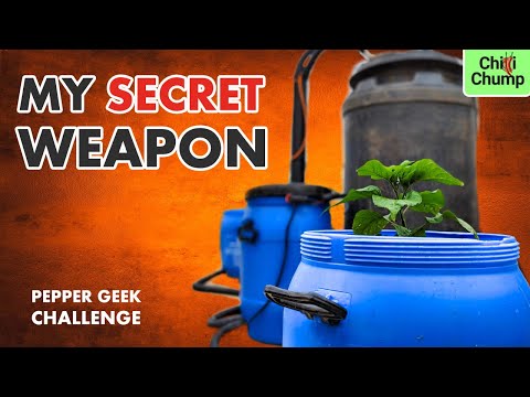 Hydroponics Build for Monster Superhot Chilli Pepper Plants!