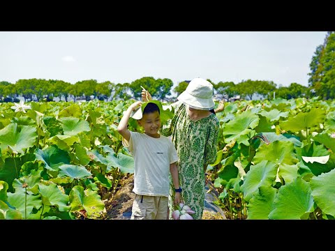 Last Summer Days at Tiny Cottage House | Fried Lotus, Cold Noodle, Green Bean Soup, Island Excursion