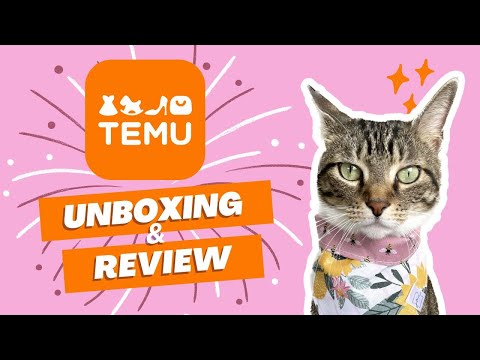 Temu Cat Haul | 11 Cat Products From Temu