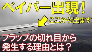 【ベイパー出現！】ベイパーが発生する仕組み！ベイパーがフラップの切れ目から発生するのはなぜ？