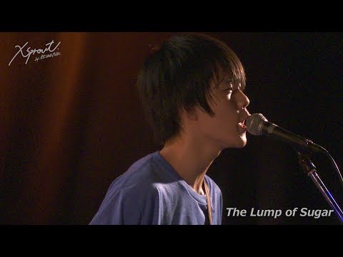 The Lump of Sugar「Re-Girl」LIVE映像【xsprout.#1@2017.08.15 下北沢BASEMENT BAR】