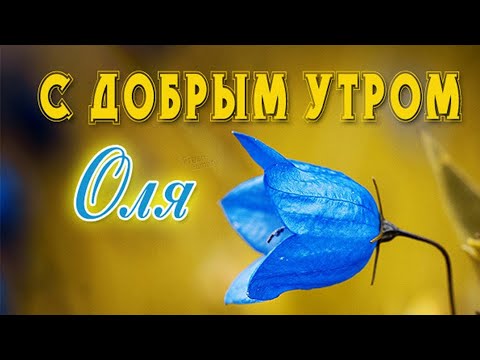 С ДОБРЫМ УТРОМ, ОЛЬГА! ПРЕКРАСНОГО ДНЯ И ОТЛИЧНОГО НАСТРОЕНИЯ! КРАСИВАЯ МУЗЫКАЛЬНАЯ ОТКРЫТКА ТЕБЕ!