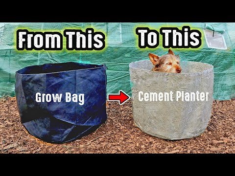 How to Turn A Fabric Grow Bag Into A Beautiful Concrete / Cement Raised Bed Planter